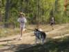 dscn0881_small.jpg