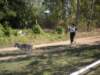 dscn0883_small.jpg
