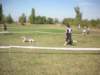 dscn0884_small.jpg