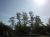 dscn0885_small.jpg