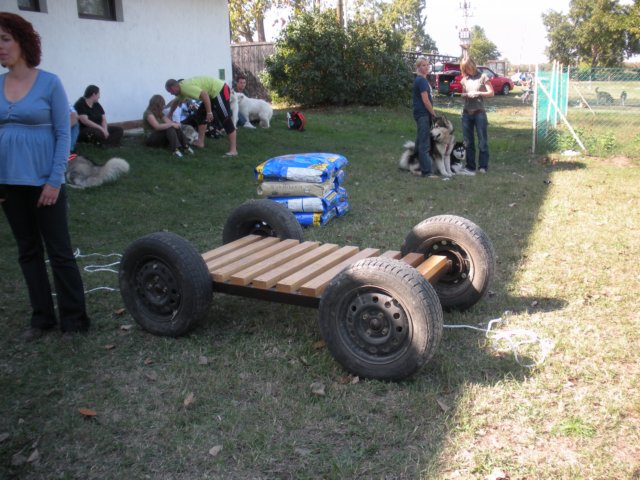 dscn0887.jpg