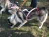 dscn0890_small.jpg
