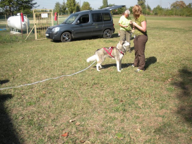 dscn0891.jpg