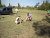 dscn0892_small.jpg