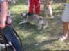 dscn0894_small.jpg