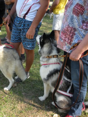 dscn0895.jpg