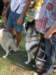 dscn0895_small.jpg