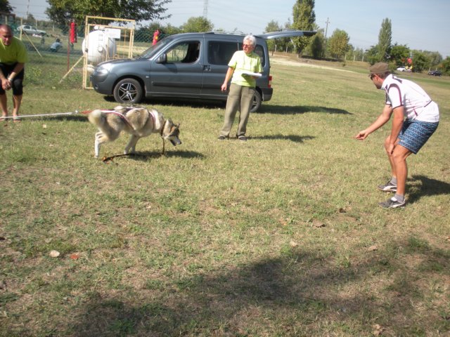 dscn0897.jpg
