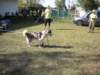 dscn0898_small.jpg