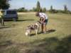 dscn0899_small.jpg