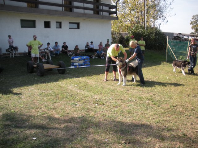 dscn0902.jpg