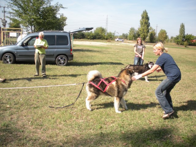 dscn0903.jpg