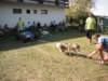 dscn0907_small.jpg