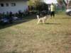 dscn0910_small.jpg