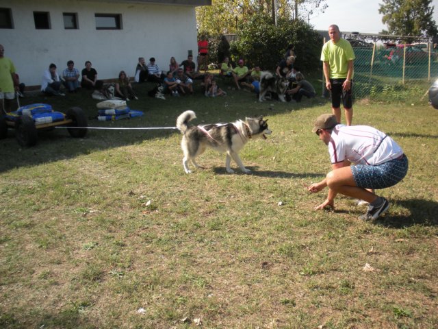 dscn0911.jpg