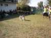 dscn0912_small.jpg