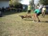 dscn0913_small.jpg