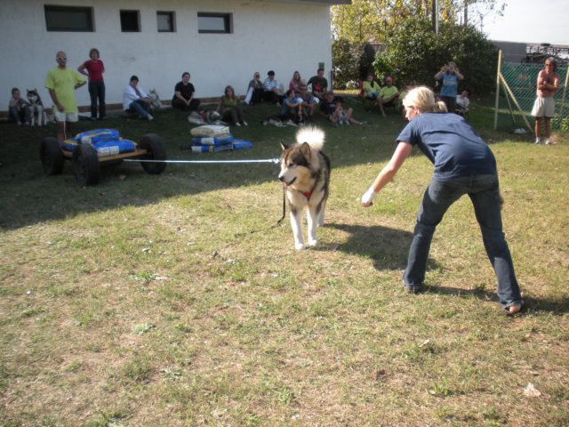 dscn0915.jpg