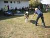 dscn0915_small.jpg