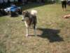 dscn0916_small.jpg