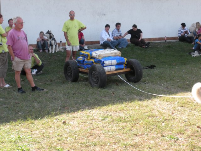 dscn0917.jpg
