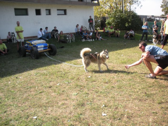 dscn0918.jpg