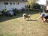 dscn0918_small.jpg