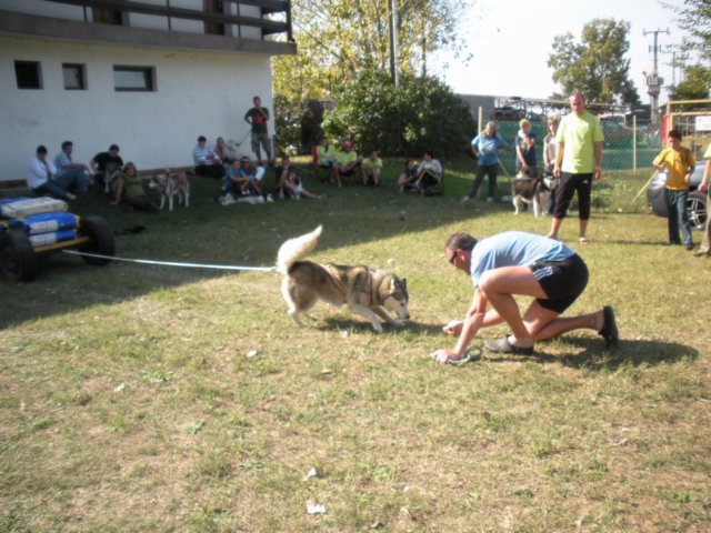 dscn0919.jpg