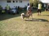 dscn0920_small.jpg