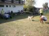 dscn0921_small.jpg