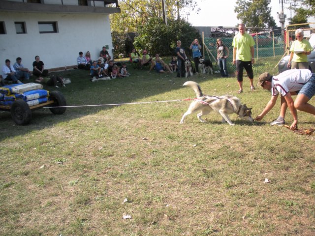 dscn0922.jpg