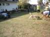 dscn0922_small.jpg