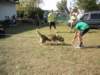 dscn0923_small.jpg