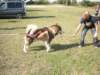 dscn0925_small.jpg