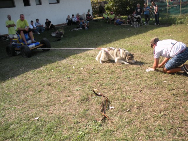 dscn0927.jpg