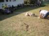 dscn0927_small.jpg