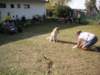 dscn0928_small.jpg