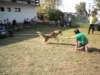 dscn0929_small.jpg
