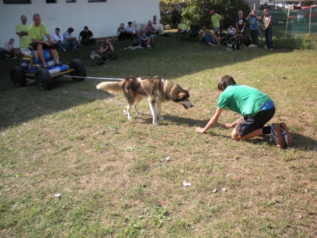 dscn0930.jpg