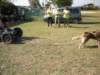 dscn0931_small.jpg