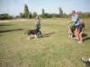 dscn0932_small.jpg