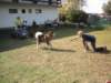 dscn0933_small.jpg