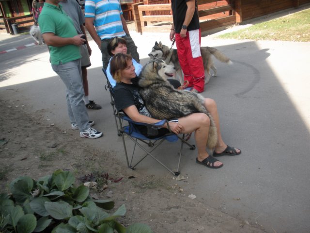 dscn0942.jpg