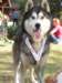 dscn0972_small.jpg