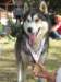 dscn0973_small.jpg
