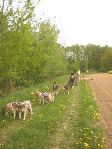 dscn2547.jpg