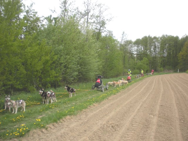 dscn2548.jpg