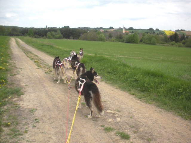 dscn2553.jpg