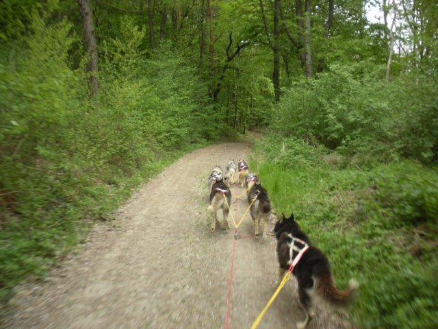 dscn2555.jpg