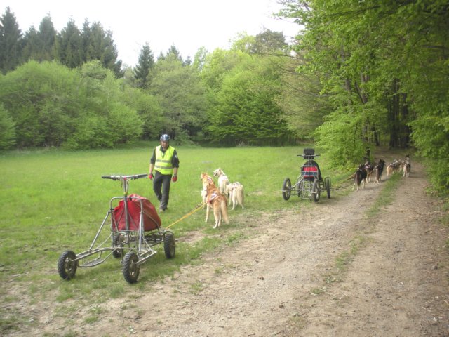 dscn2559.jpg